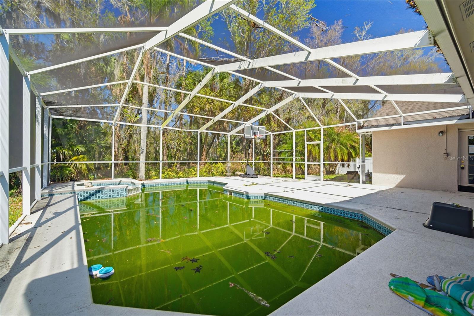 28427 OPENFIELD LOOP, WESLEY CHAPEL, FL, 33543