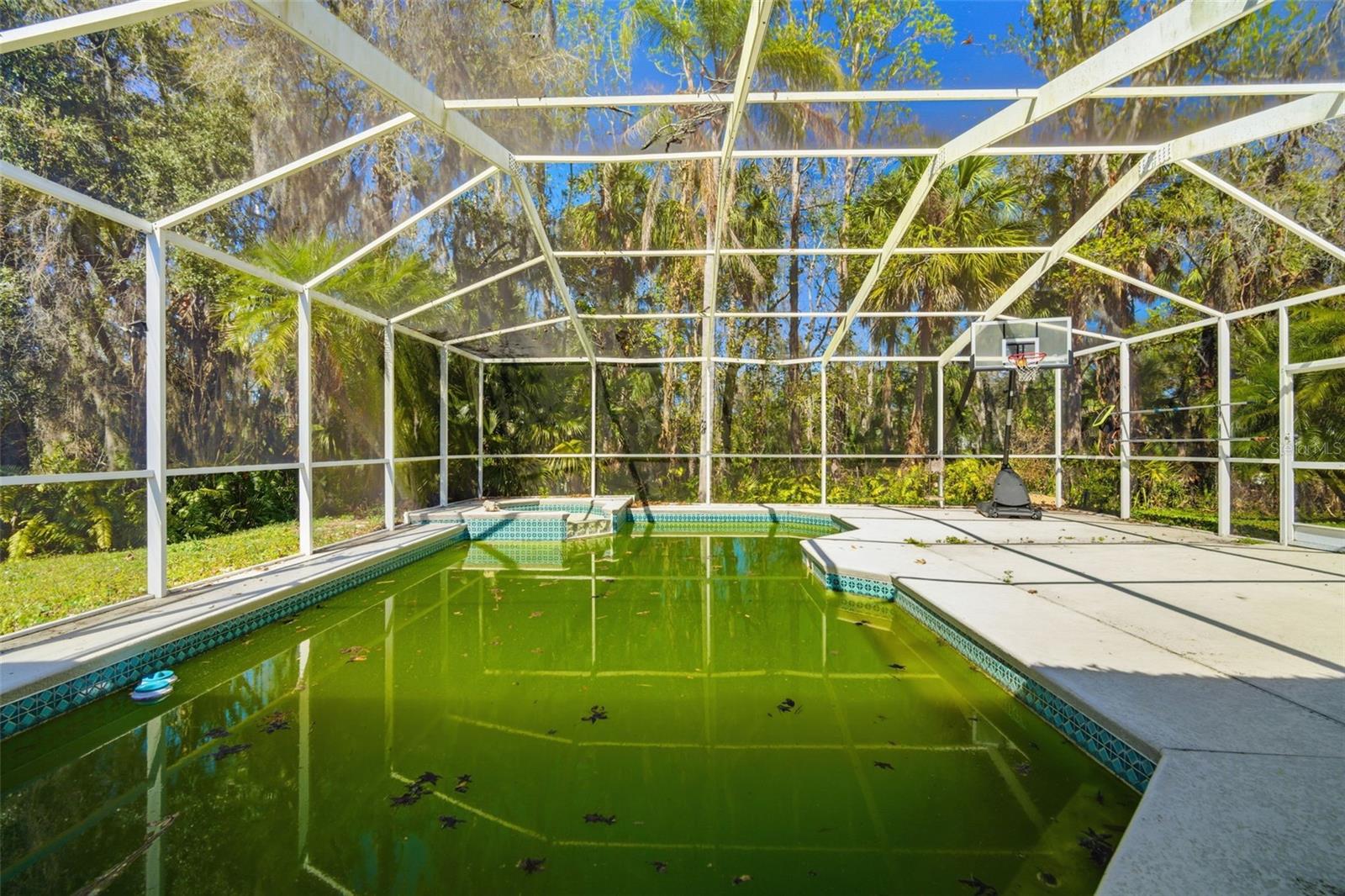 28427 OPENFIELD LOOP, WESLEY CHAPEL, FL, 33543