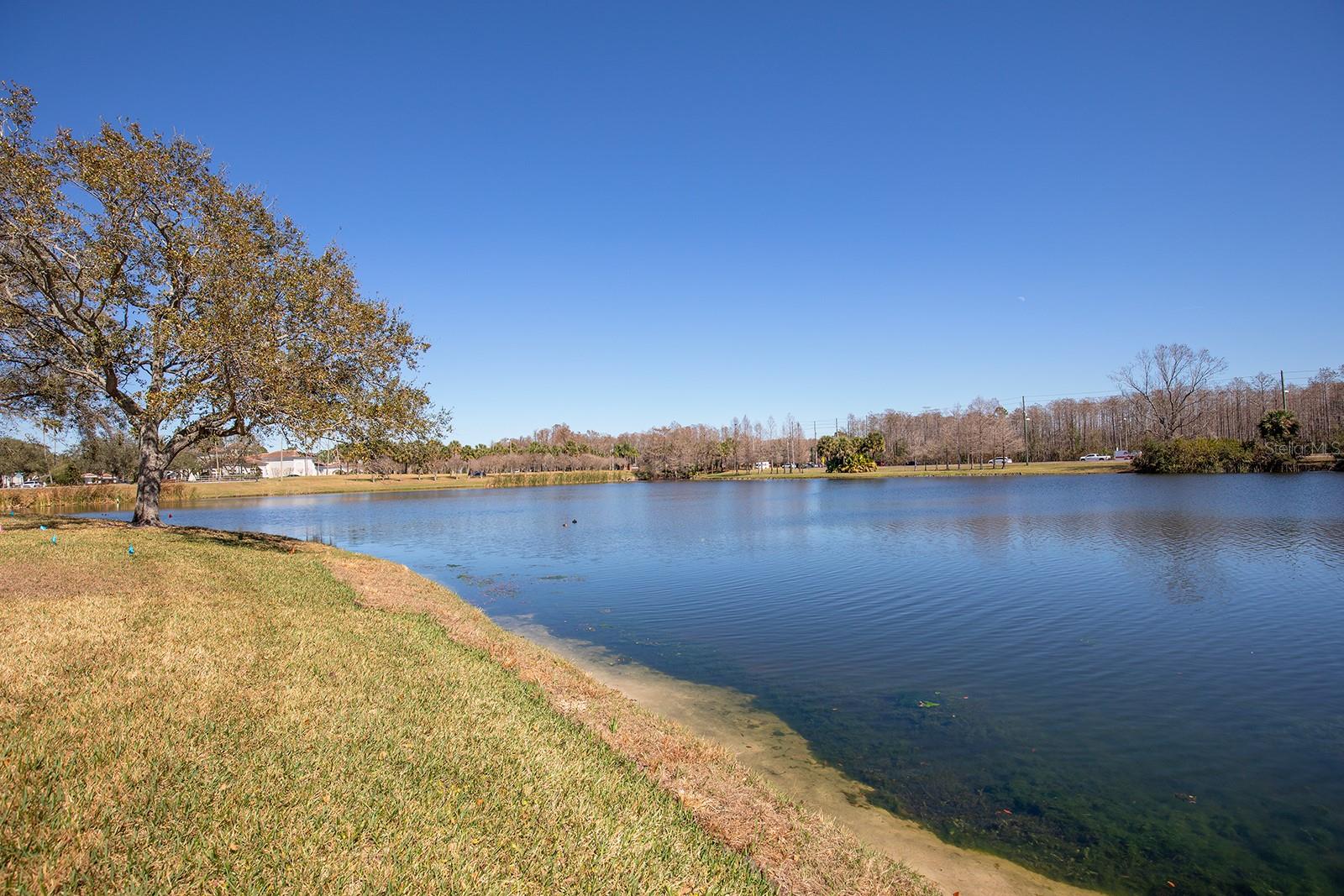2015 RESTON RD #2208, ORLANDO, FL, 32837
