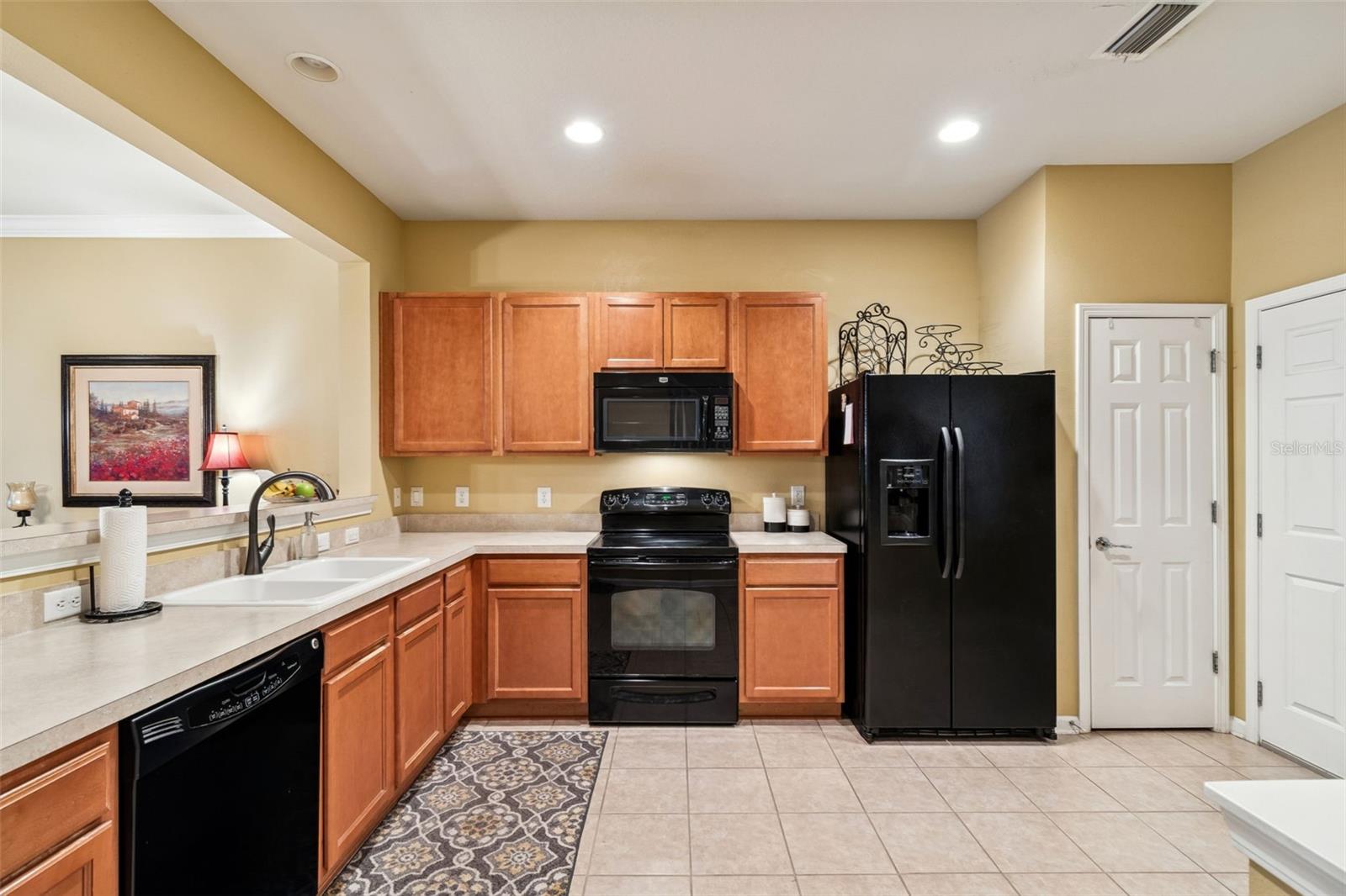 10238 ESTERO BAY LN, TAMPA, FL, 33625