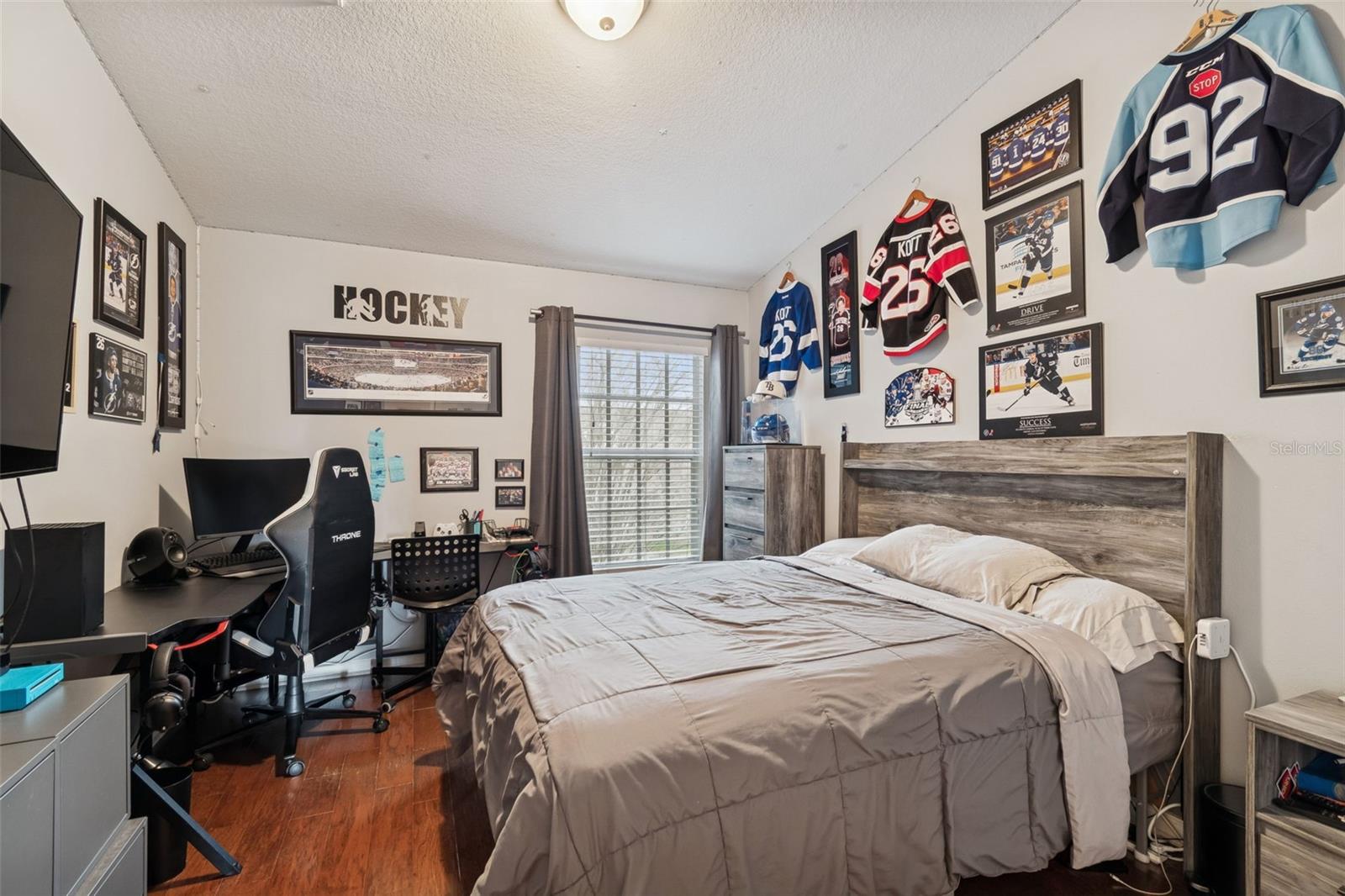 10238 ESTERO BAY LN, TAMPA, FL, 33625