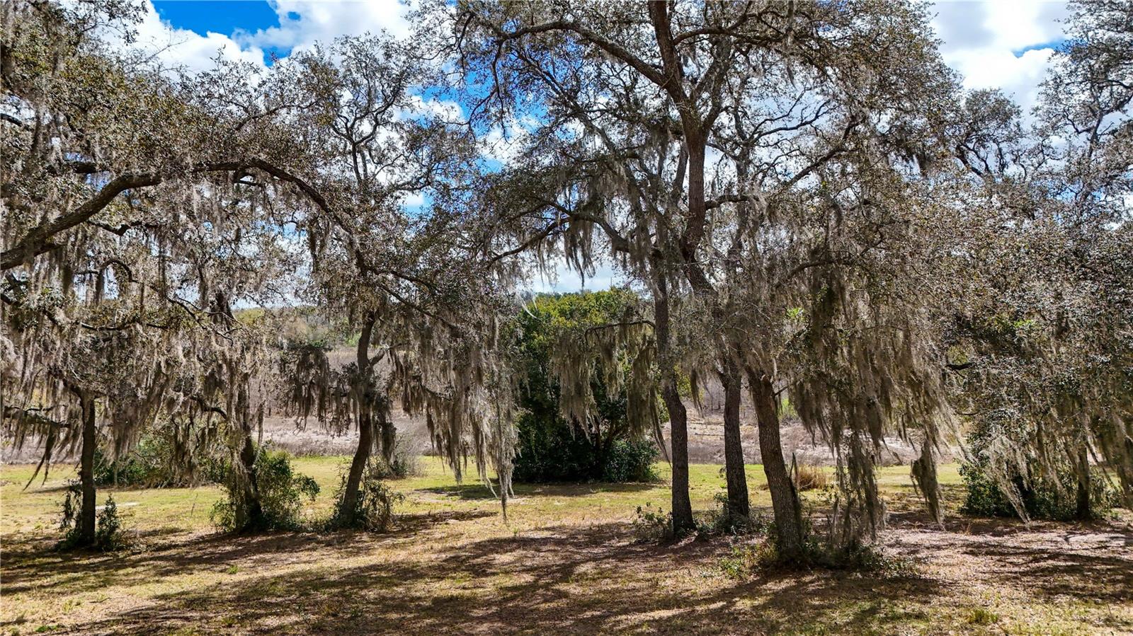 ESTES (HIGHLAND DR.) RD, EUSTIS, FL, 32726