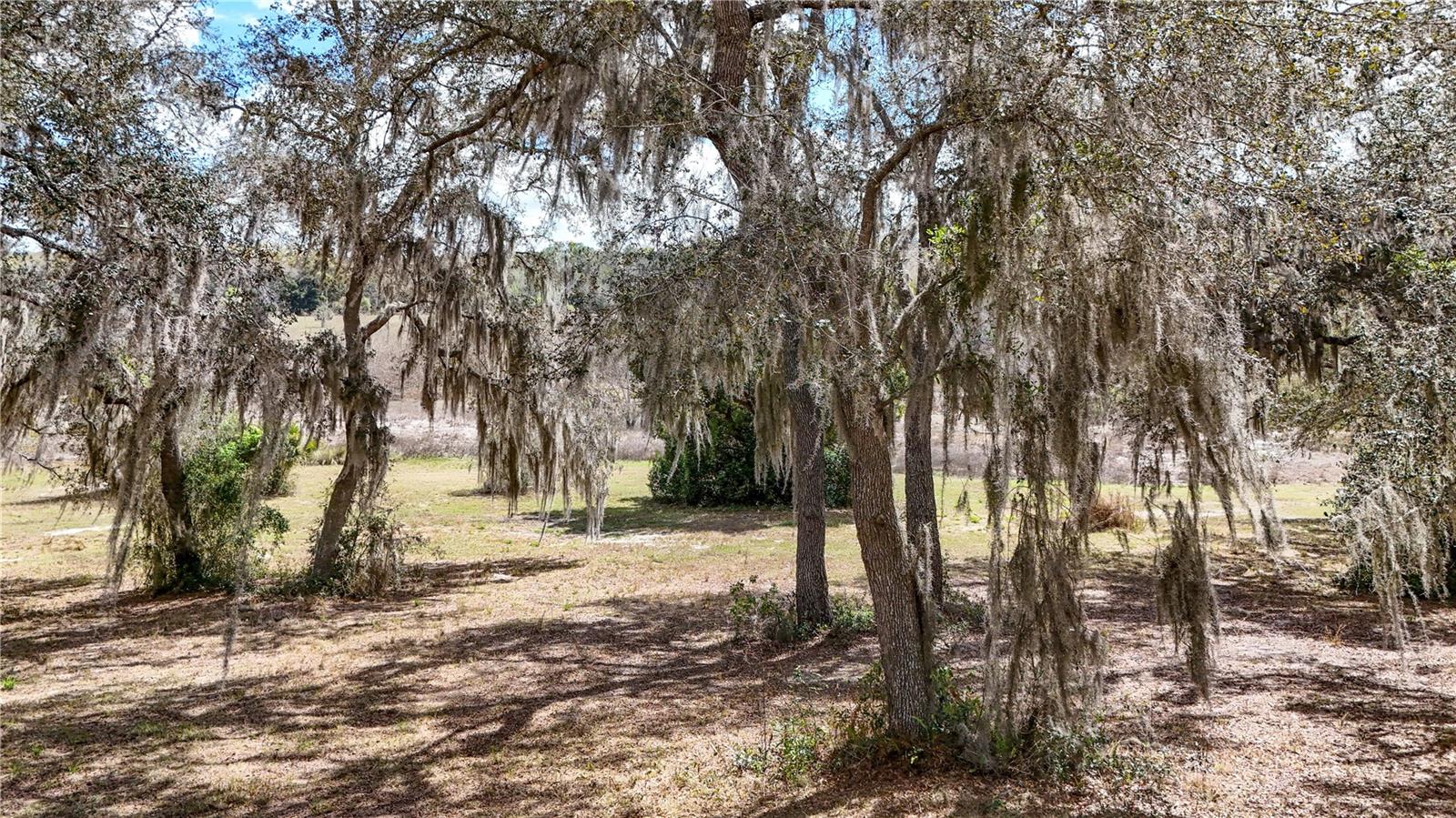 ESTES (HIGHLAND DR.) RD, EUSTIS, FL, 32726