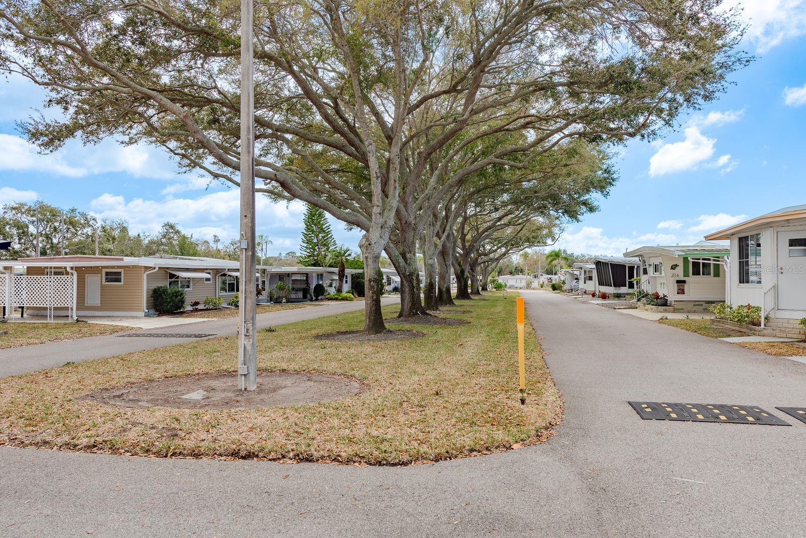 2331 BELLEAIR RD #514, CLEARWATER, FL, 33764