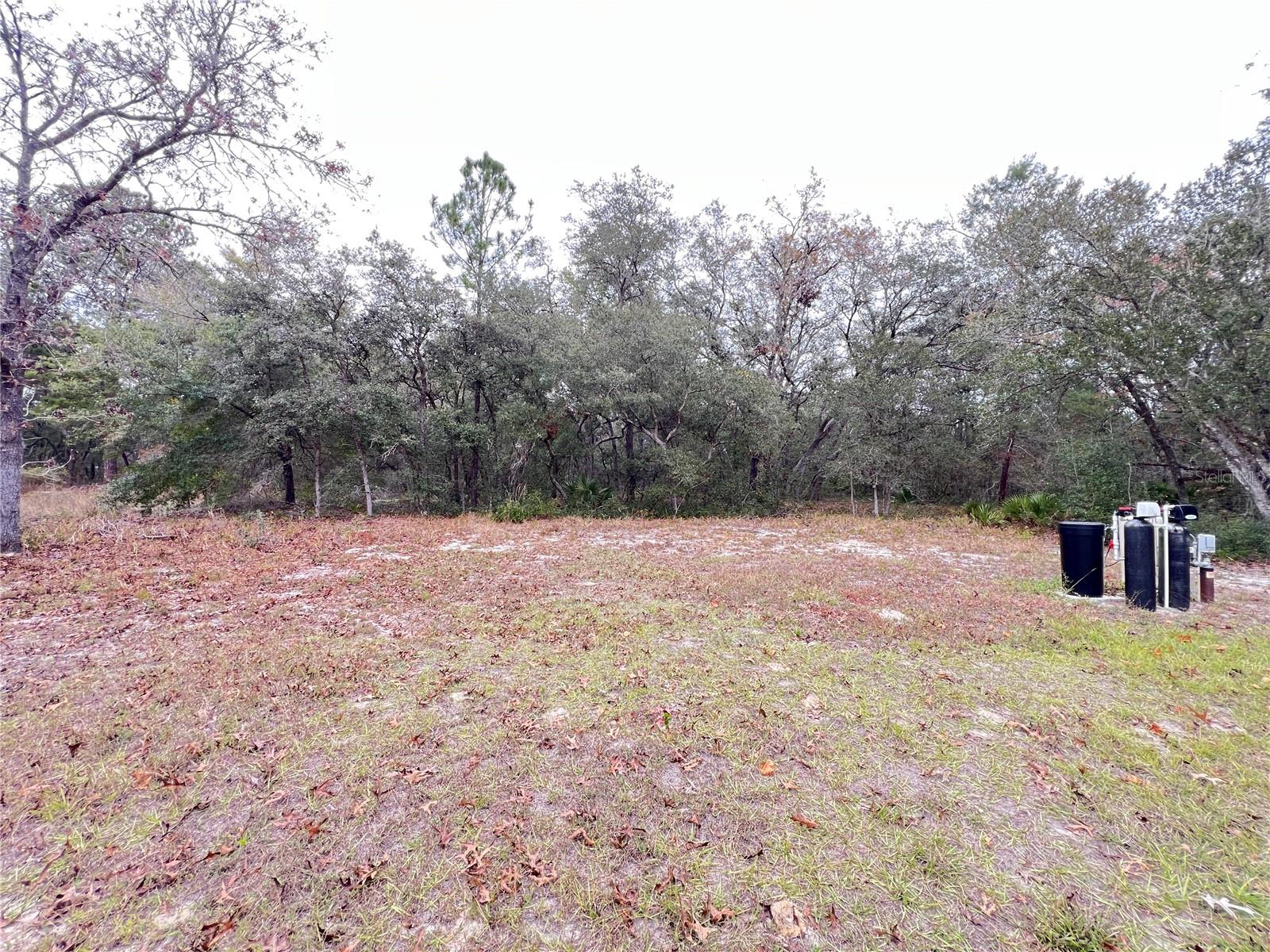 83 GUAVA PASS, OCKLAWAHA, FL, 32179