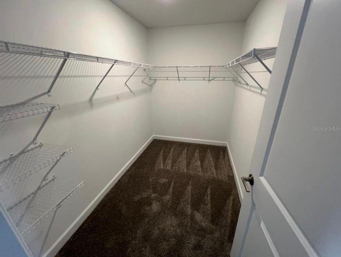 11710 BOLDFACE DR, ORLANDO, FL, 32832