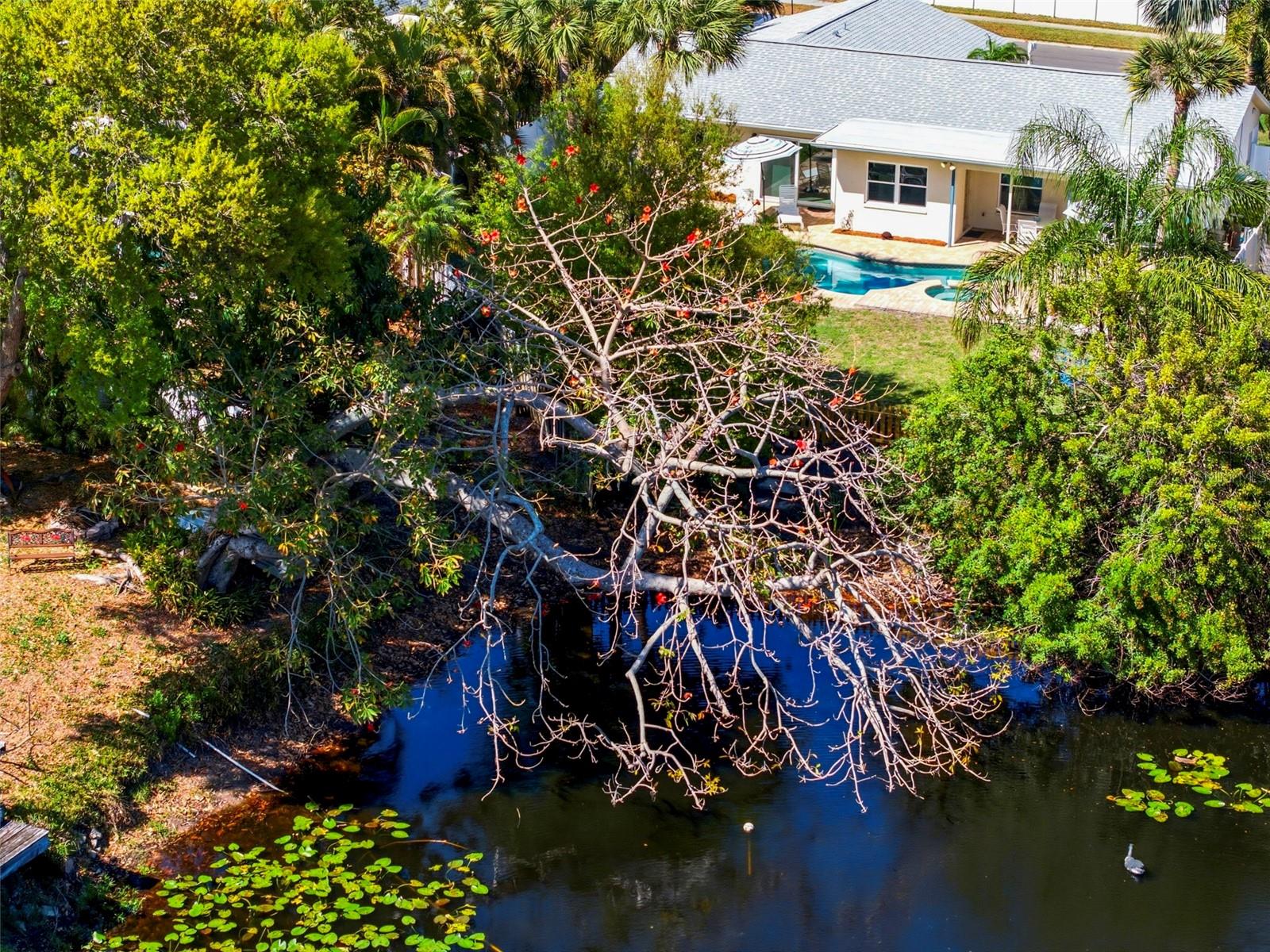 11932 99TH AVE, SEMINOLE, FL, 33772