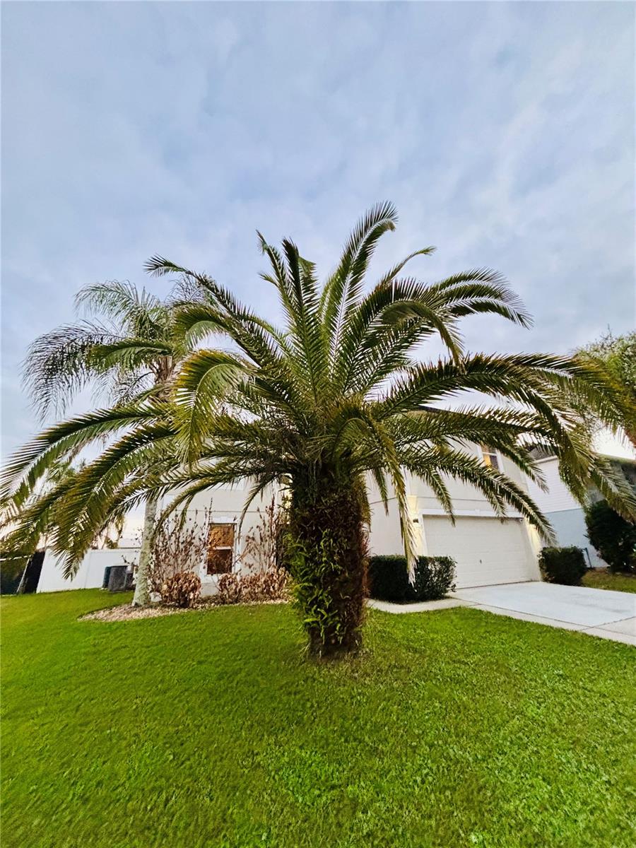 307 VELVETEEN PL, CHULUOTA, FL, 32766