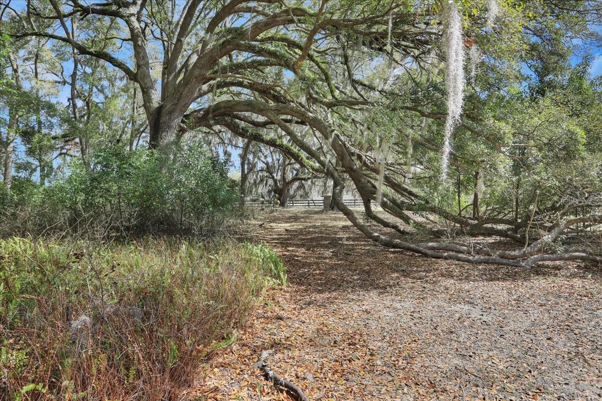 23748 NW 142ND AVE, HIGH SPRINGS, FL, 32643