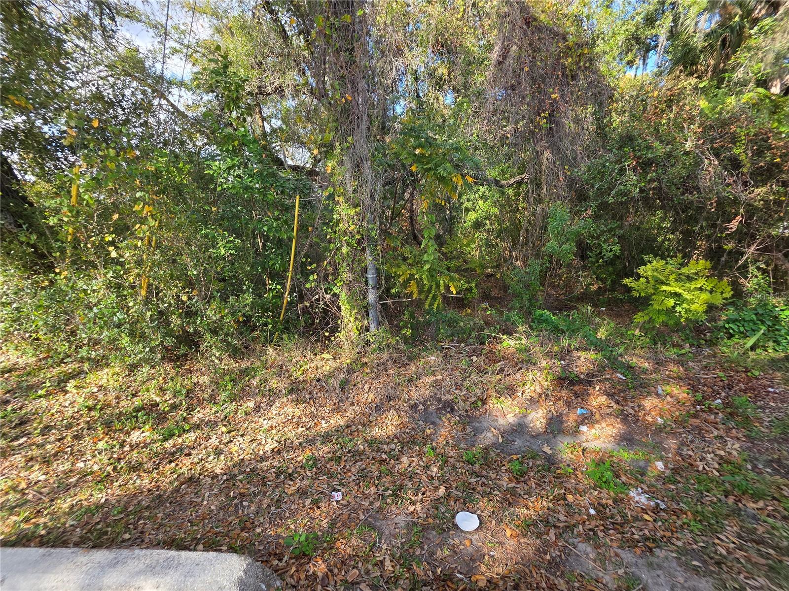 0 MICHIGAN AVE, KISSIMMEE, FL, 34744