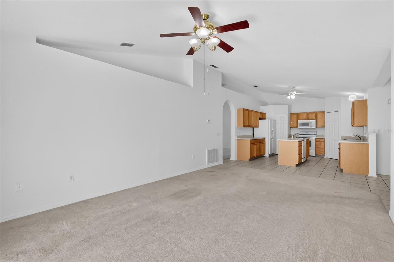 615 BRIARCLIFF RD, EUSTIS, FL, 32726