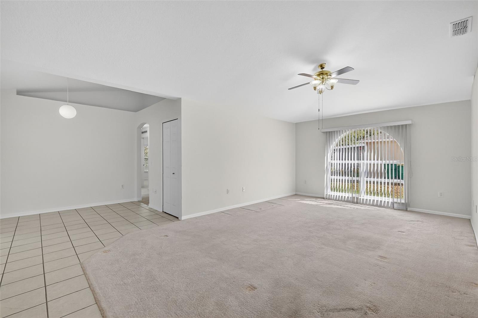 615 BRIARCLIFF RD, EUSTIS, FL, 32726