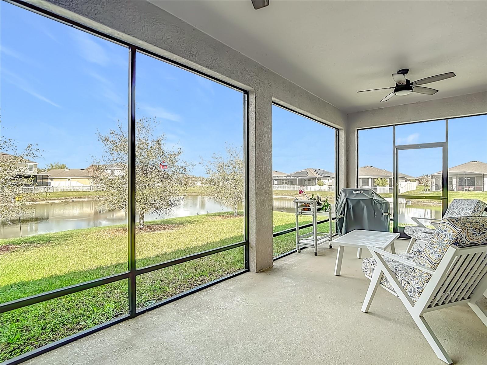 31385 TANSY BND, WESLEY CHAPEL, FL, 33545