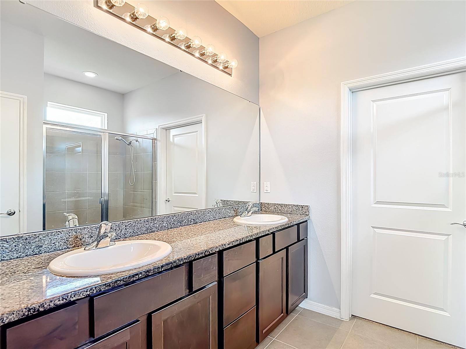 31385 TANSY BND, WESLEY CHAPEL, FL, 33545