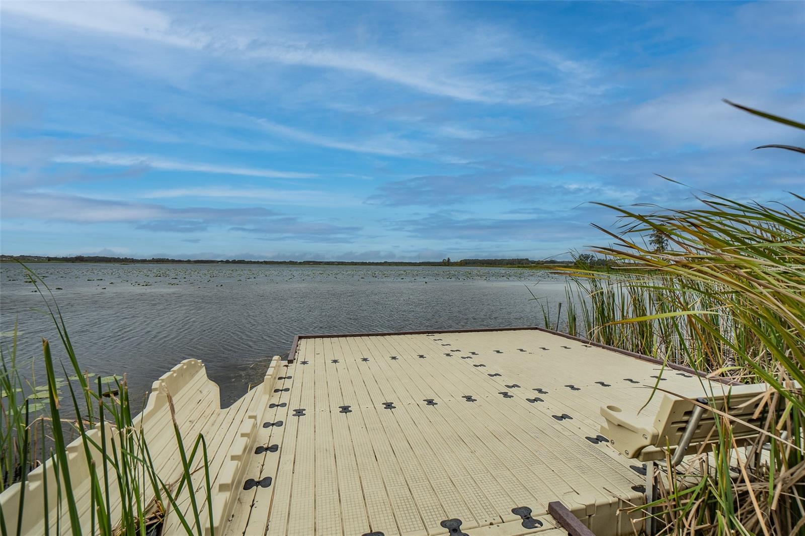 31385 TANSY BND, WESLEY CHAPEL, FL, 33545