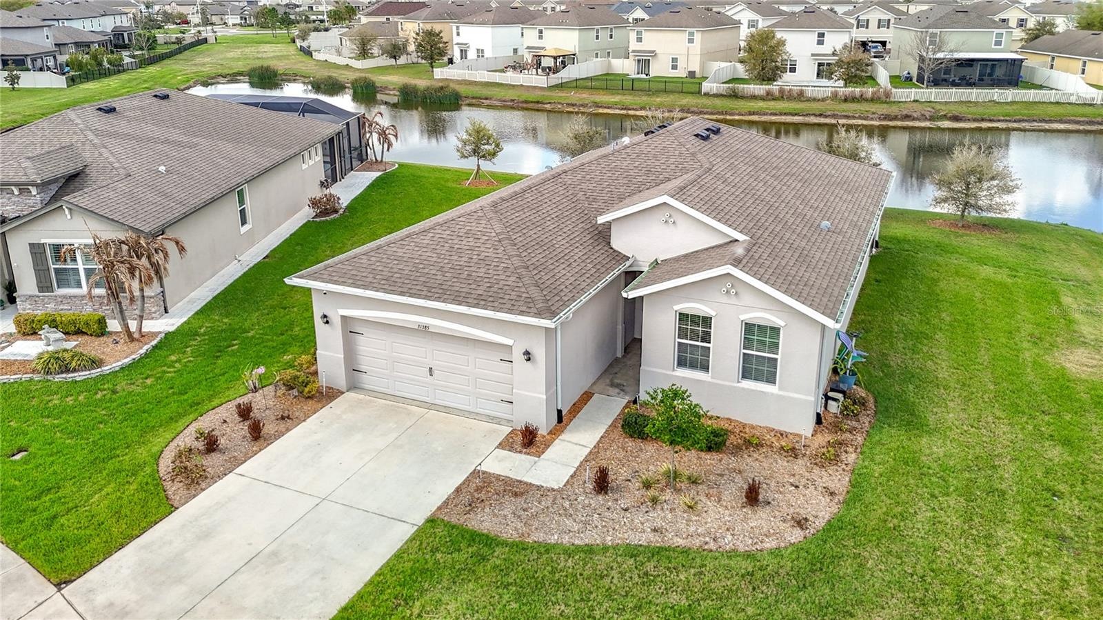 31385 TANSY BND, WESLEY CHAPEL, FL, 33545