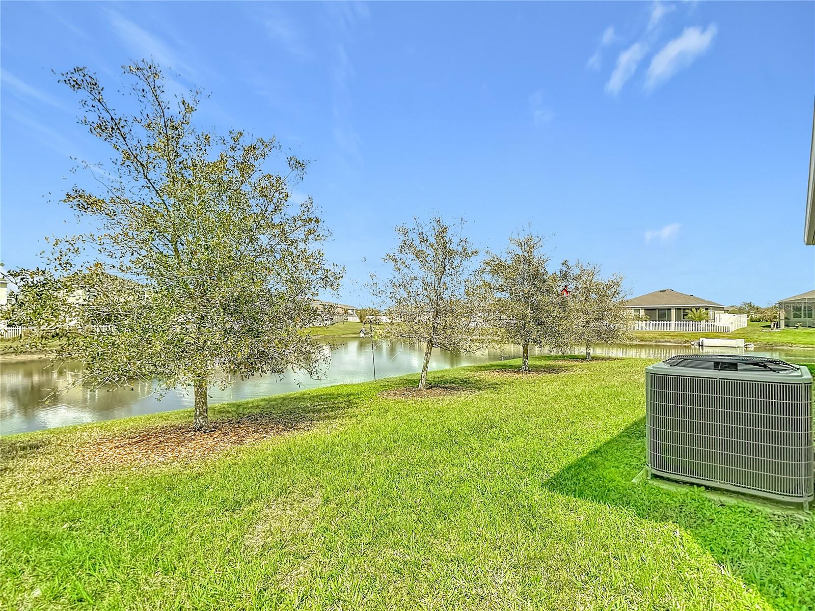 31385 TANSY BND, WESLEY CHAPEL, FL, 33545