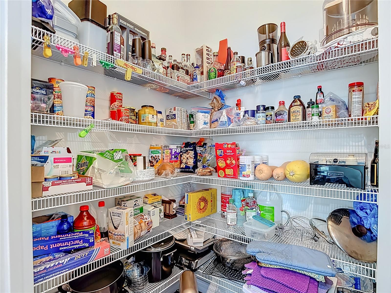 31385 TANSY BND, WESLEY CHAPEL, FL, 33545