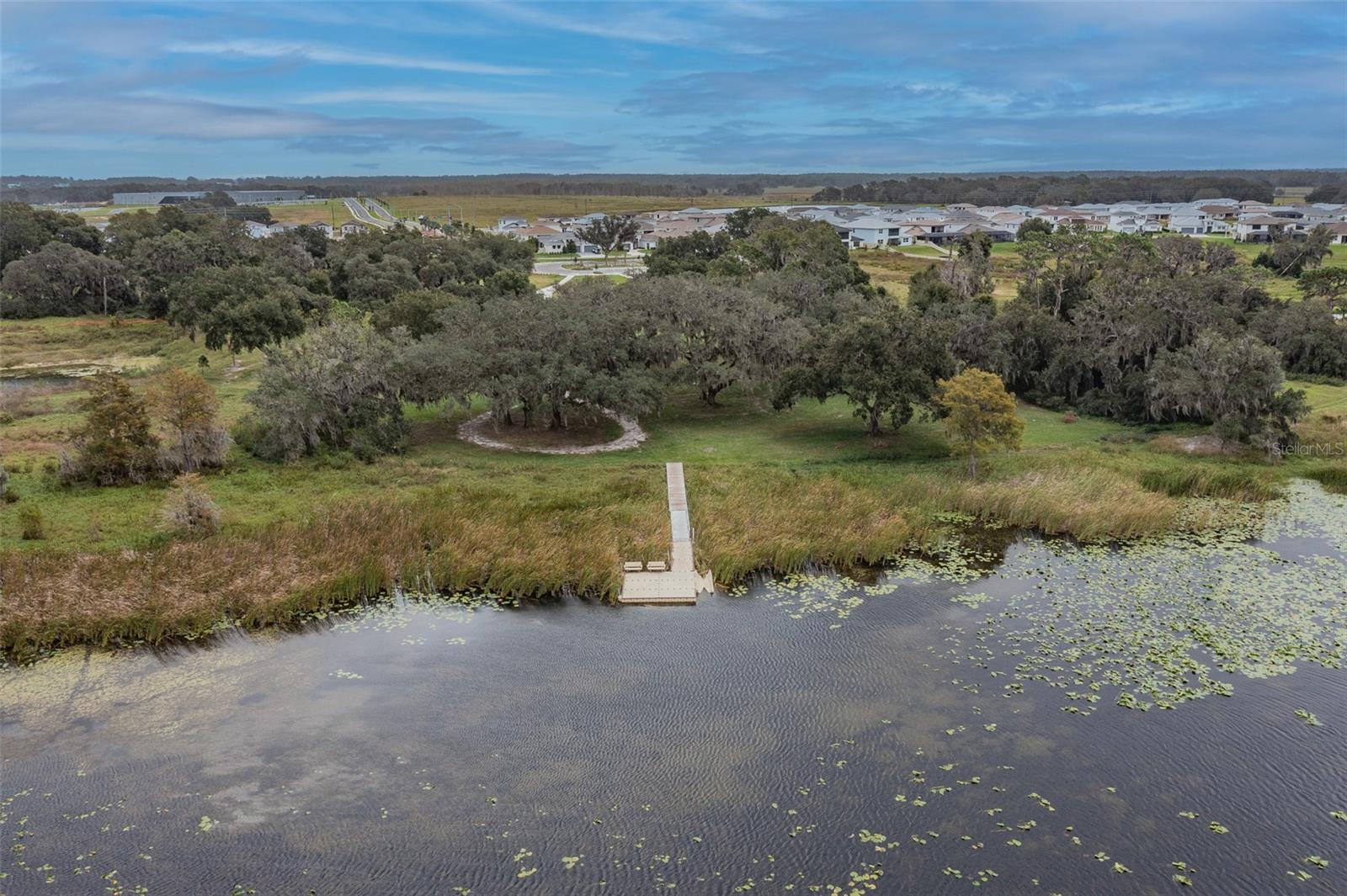 31385 TANSY BND, WESLEY CHAPEL, FL, 33545
