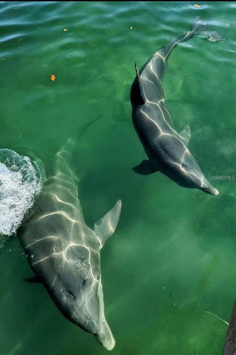 5432 CORNSILK TER, NORTH PORT, FL, 34286