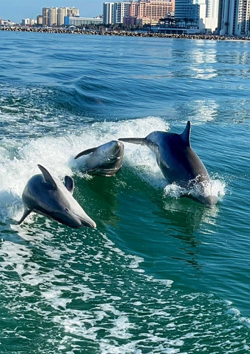 5432 CORNSILK TER, NORTH PORT, FL, 34286