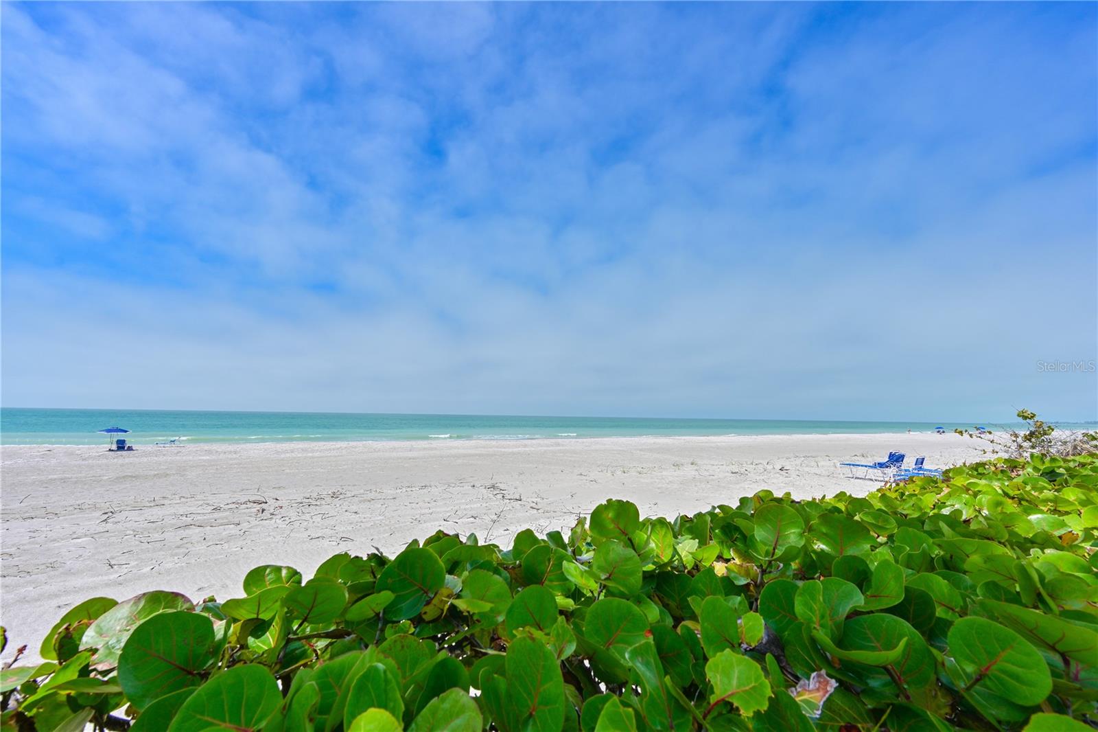 3806 GULF OF MEXICO DR #C211, LONGBOAT KEY, FL, 34228