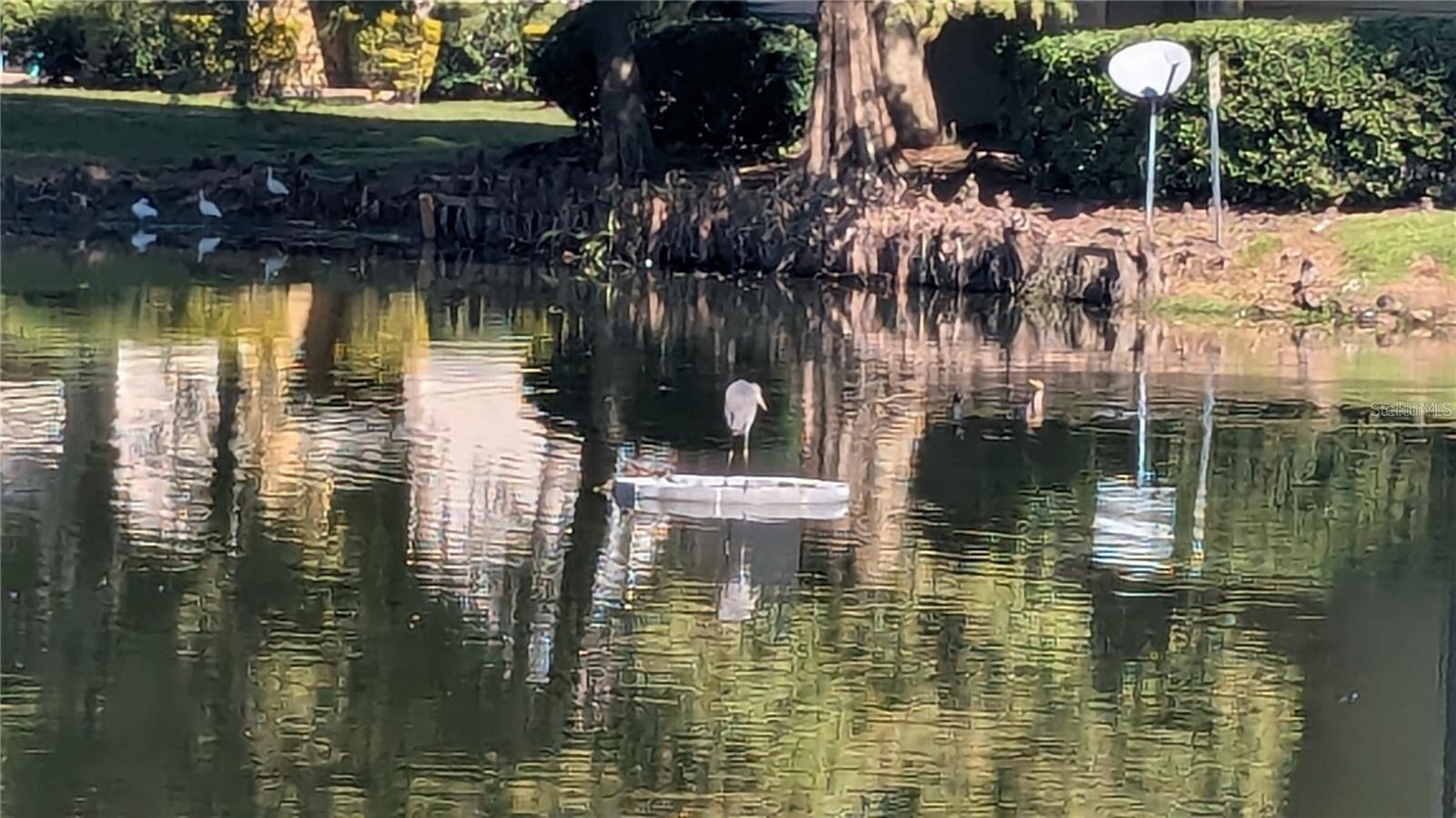 1948 LAKE ATRIUMS CIR #120, ORLANDO, FL, 32839