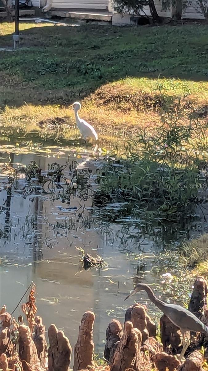 1948 LAKE ATRIUMS CIR #120, ORLANDO, FL, 32839