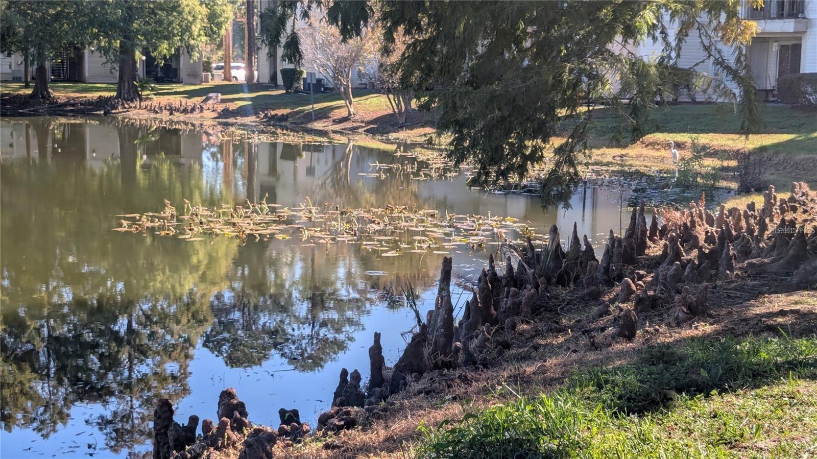 1948 LAKE ATRIUMS CIR #120, ORLANDO, FL, 32839