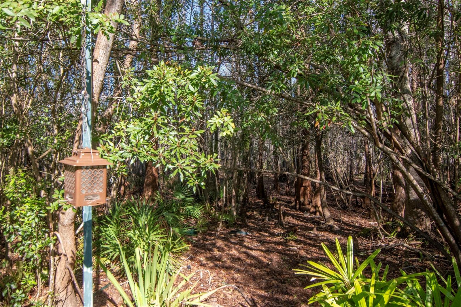 8205 PONKAN RD, LAND O LAKES, FL, 34637