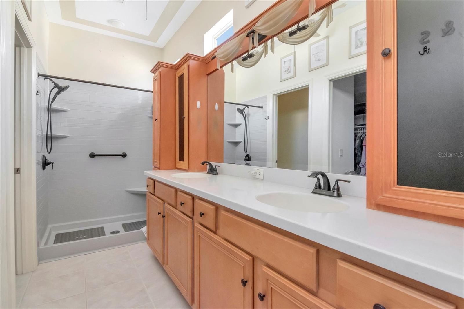 8205 PONKAN RD, LAND O LAKES, FL, 34637