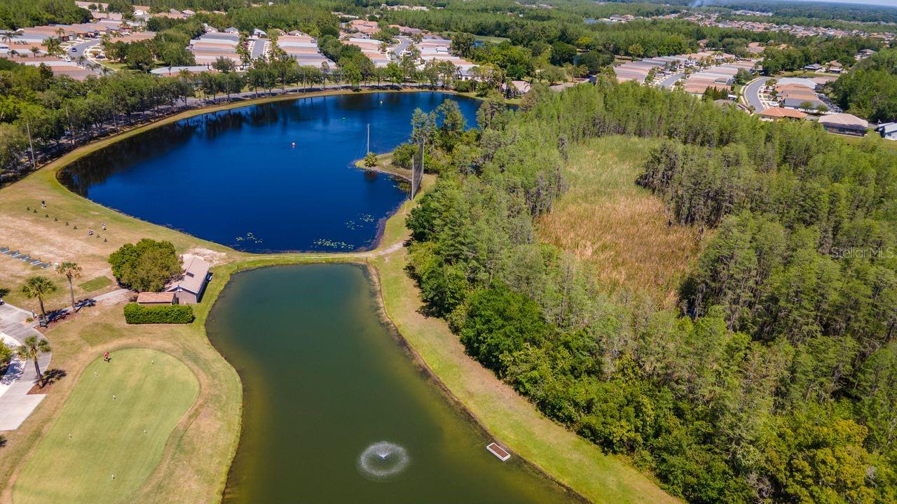 8205 PONKAN RD, LAND O LAKES, FL, 34637
