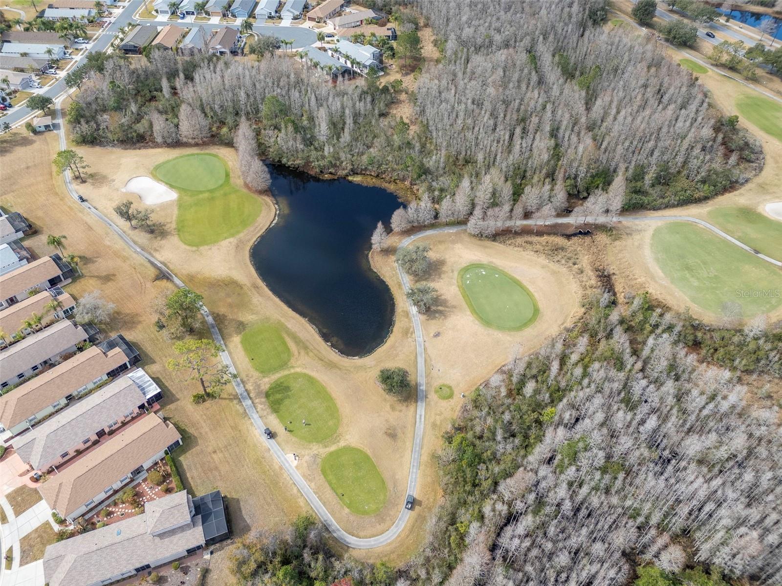 8205 PONKAN RD, LAND O LAKES, FL, 34637