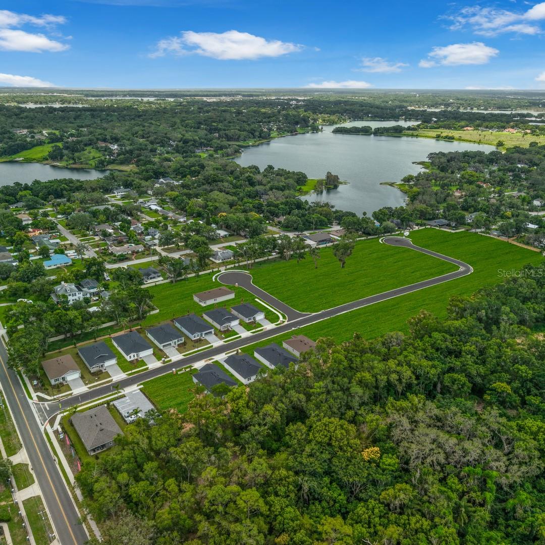 1295 BLUE DAZE LN, EUSTIS, FL, 32726