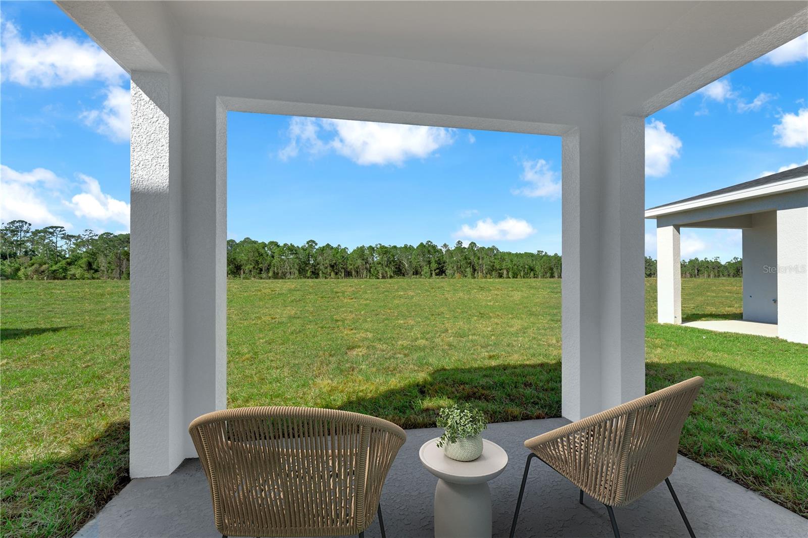 1295 BLUE DAZE LN, EUSTIS, FL, 32726