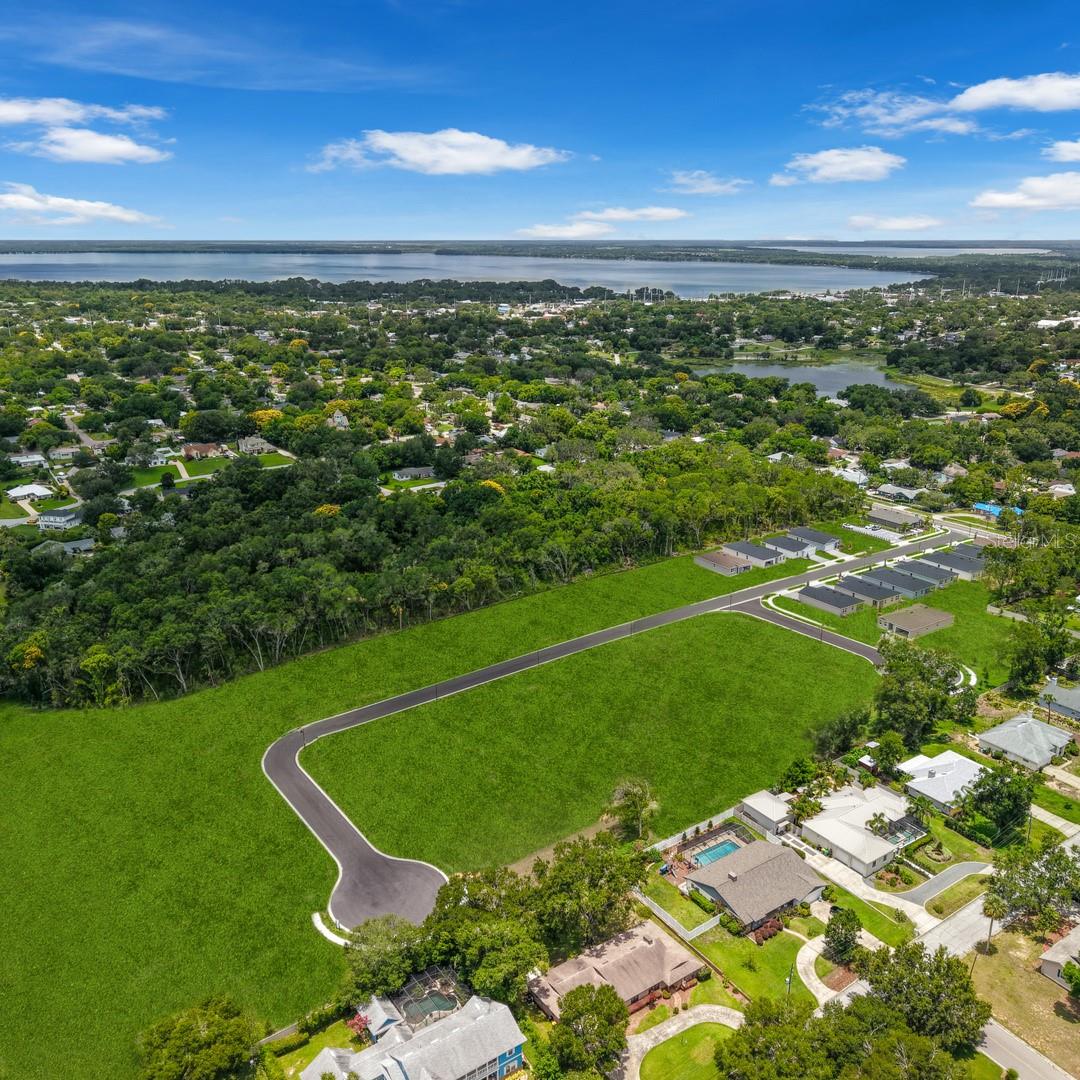 1295 BLUE DAZE LN, EUSTIS, FL, 32726