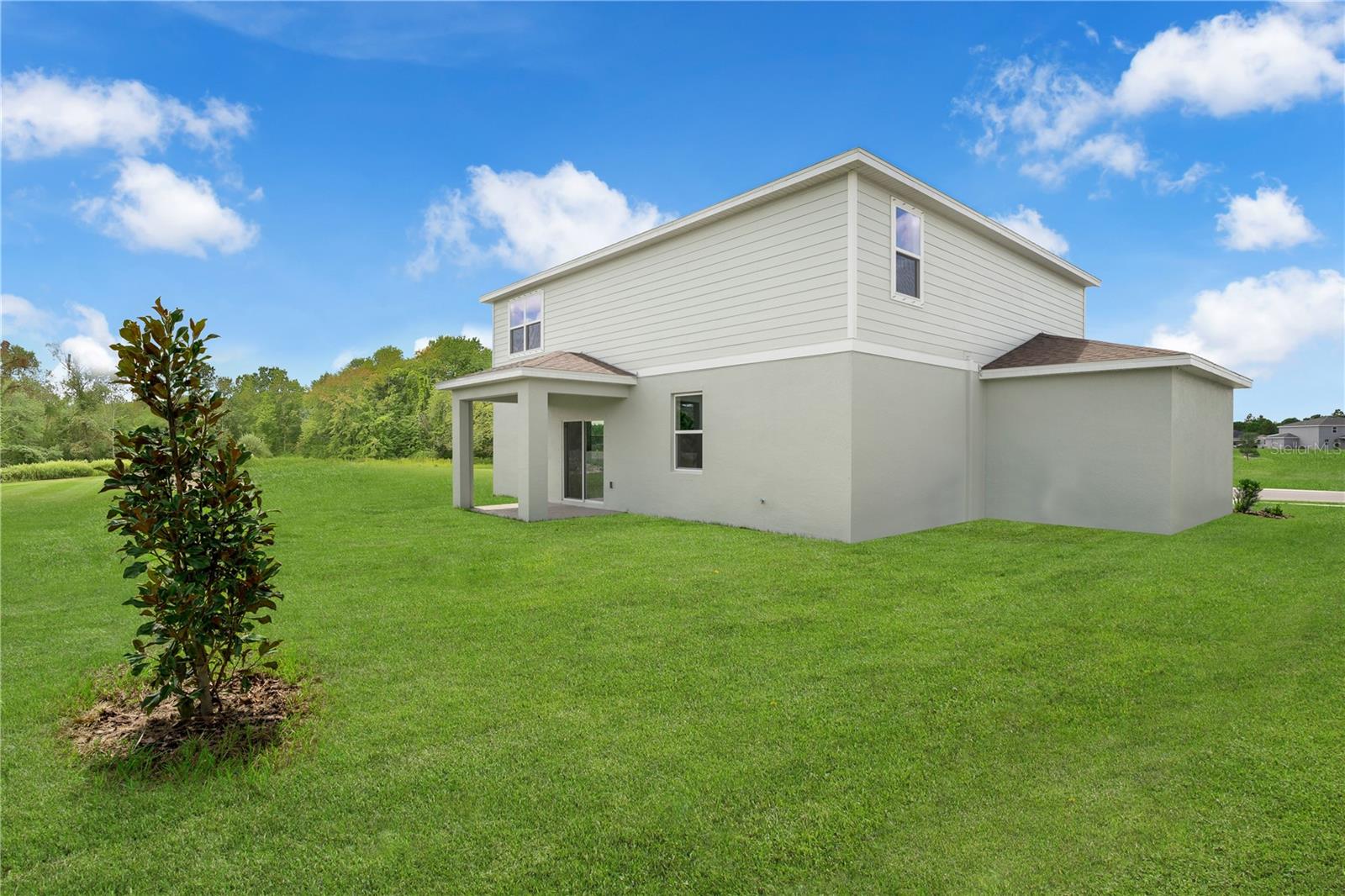 1295 BLUE DAZE LN, EUSTIS, FL, 32726