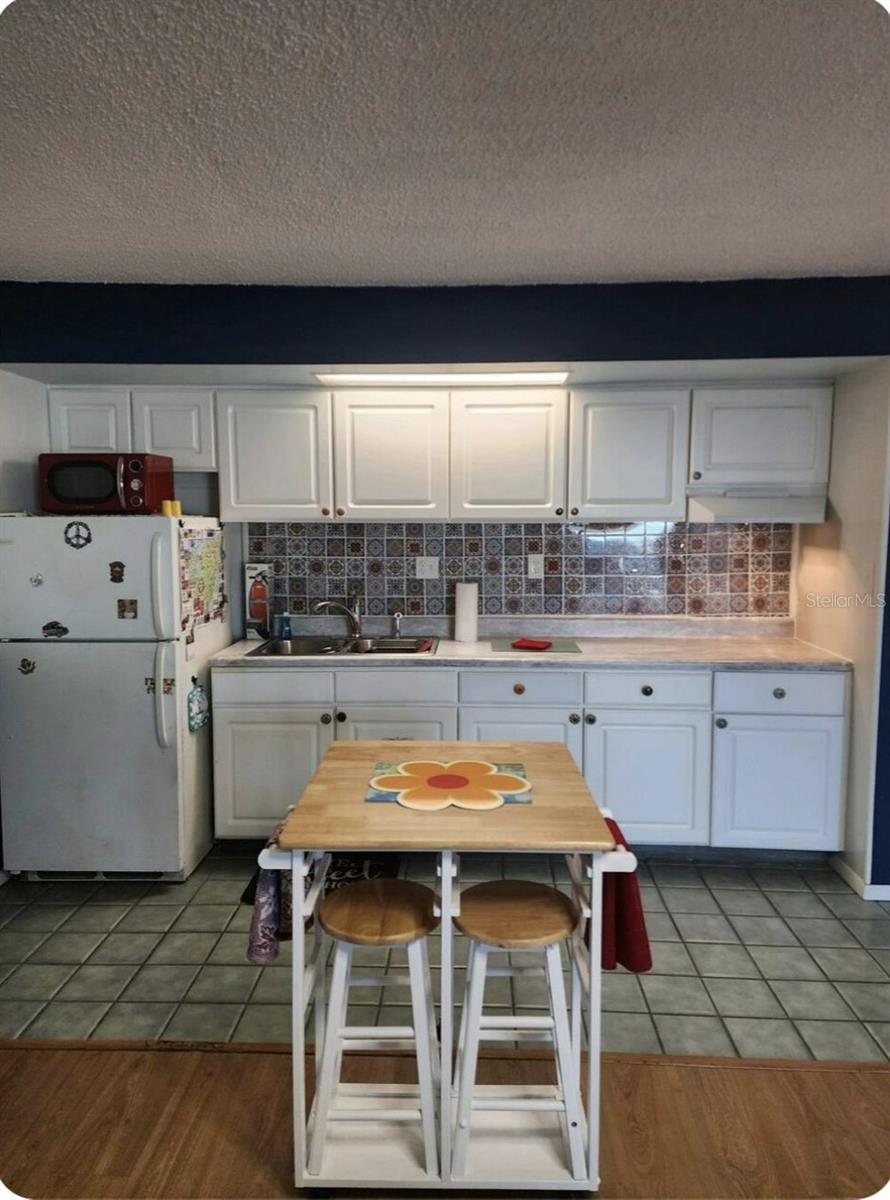 3700 S ATLANTIC AVE #103, NEW SMYRNA BEACH, FL, 32169