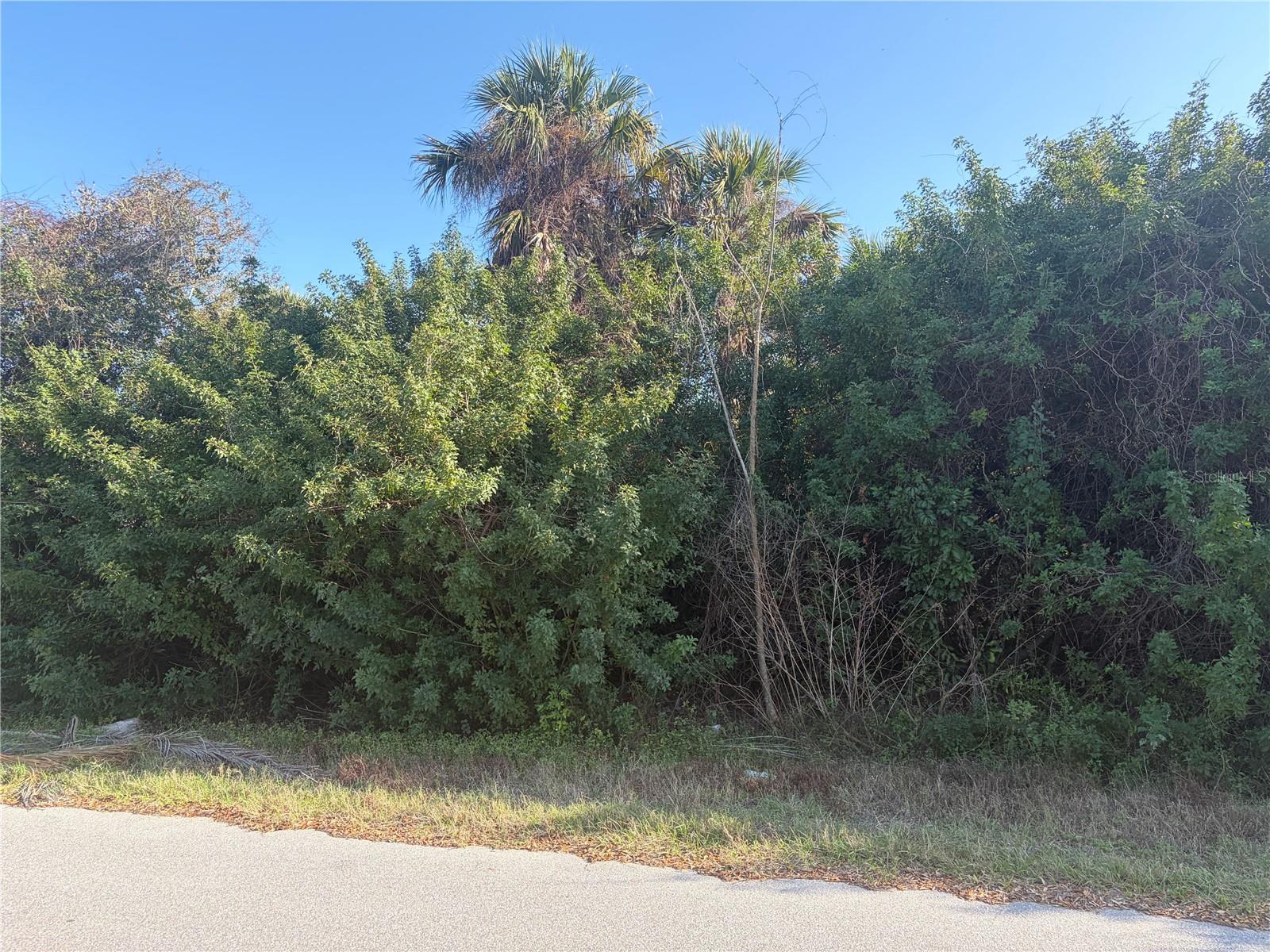 14499 RANSOM AVE, PORT CHARLOTTE, FL, 33953