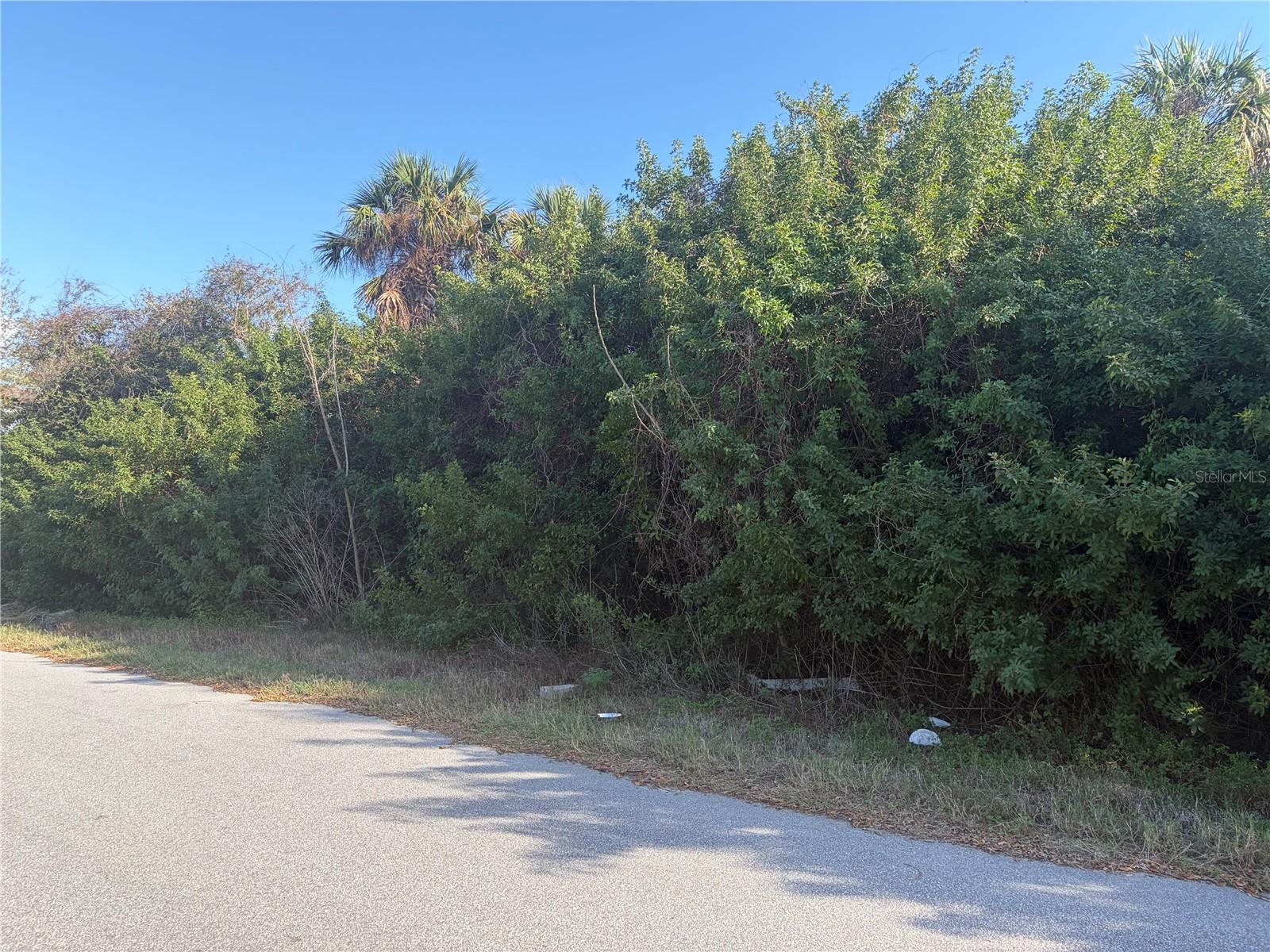 14499 RANSOM AVE, PORT CHARLOTTE, FL, 33953