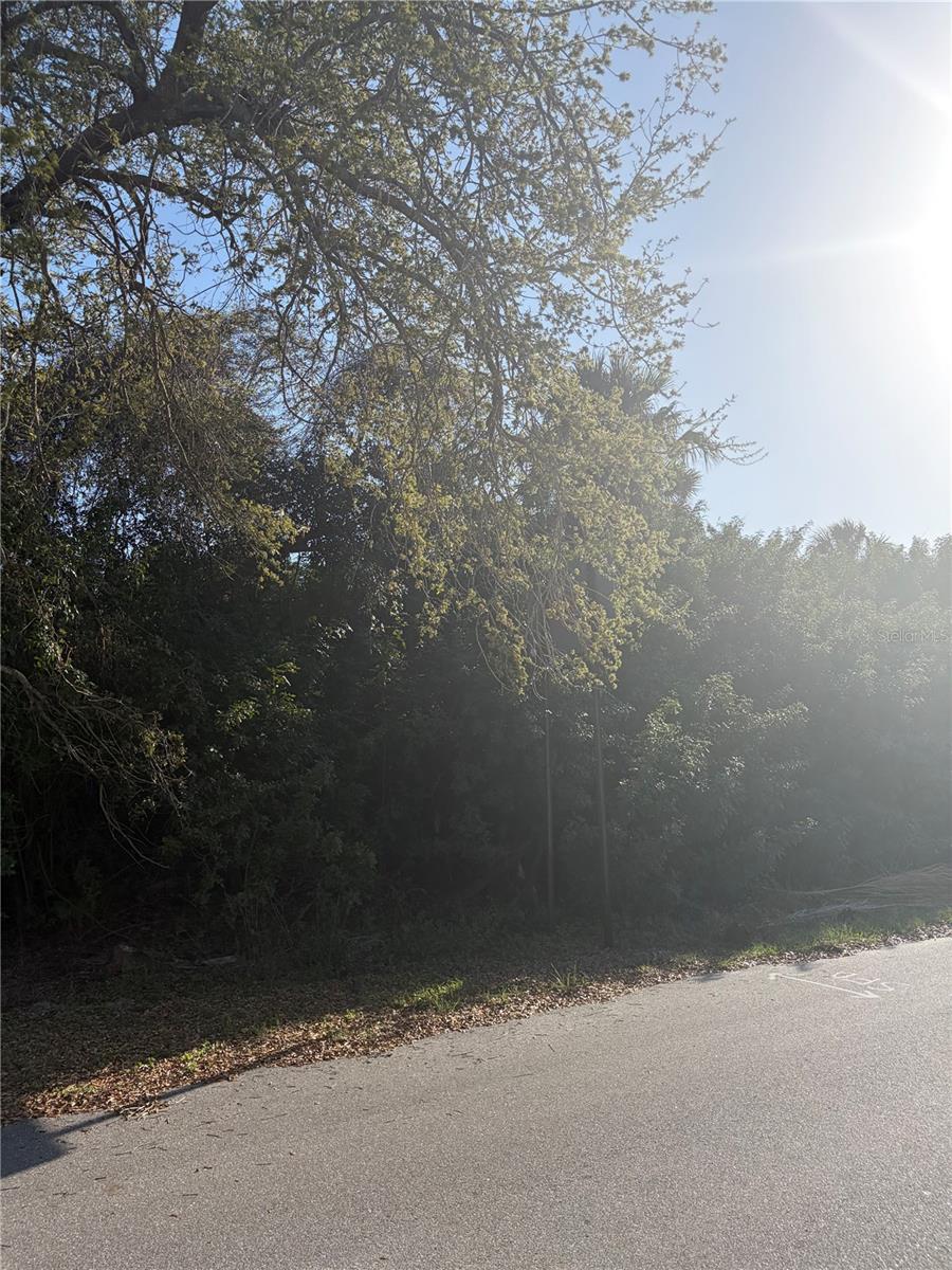 14491 RANSOM AVE, PORT CHARLOTTE, FL, 33953