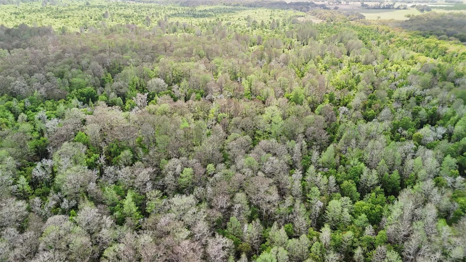 GILLETTE RD, ZOLFO SPRINGS, FL, 33890