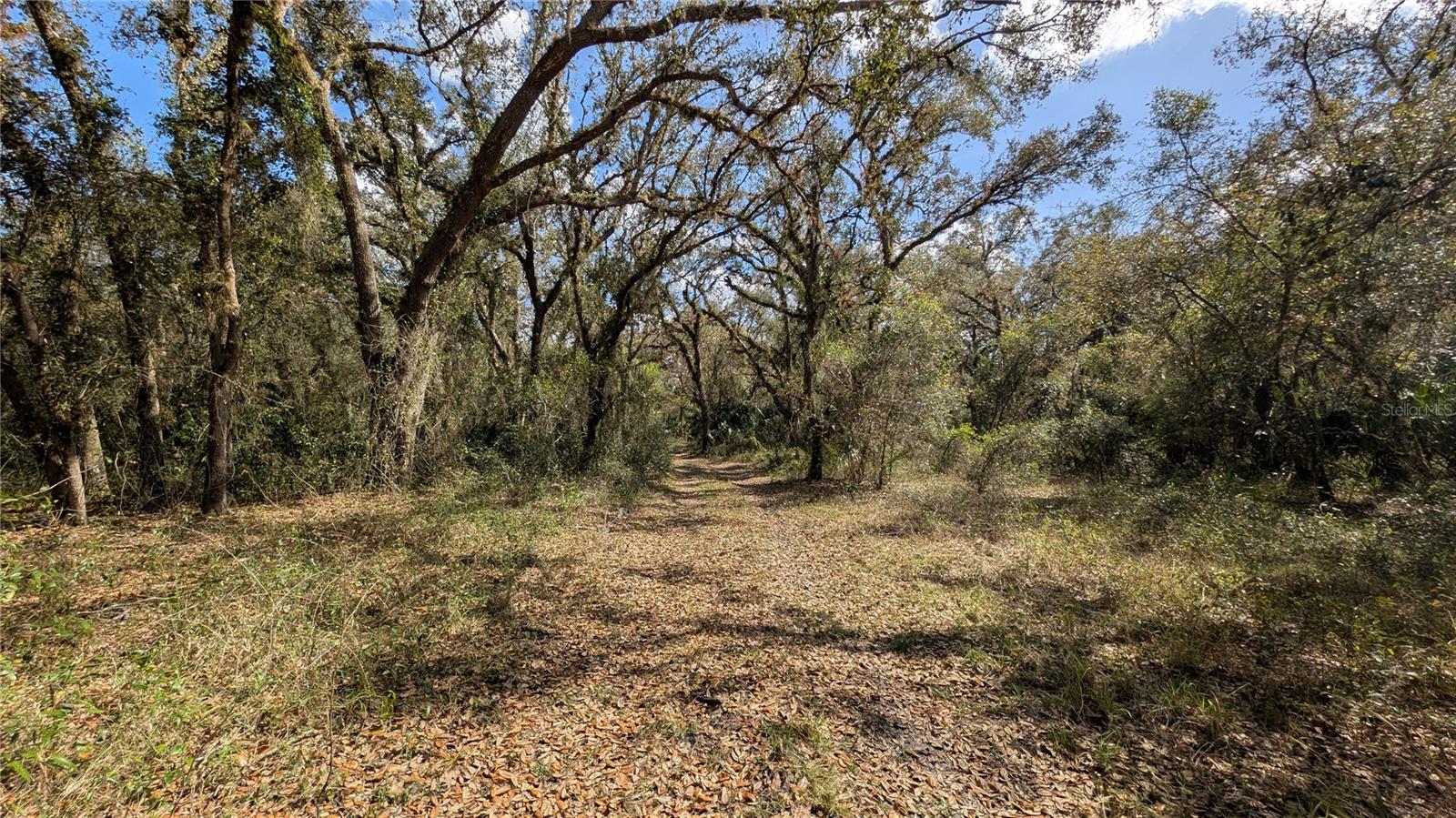 GILLETTE RD, ZOLFO SPRINGS, FL, 33890