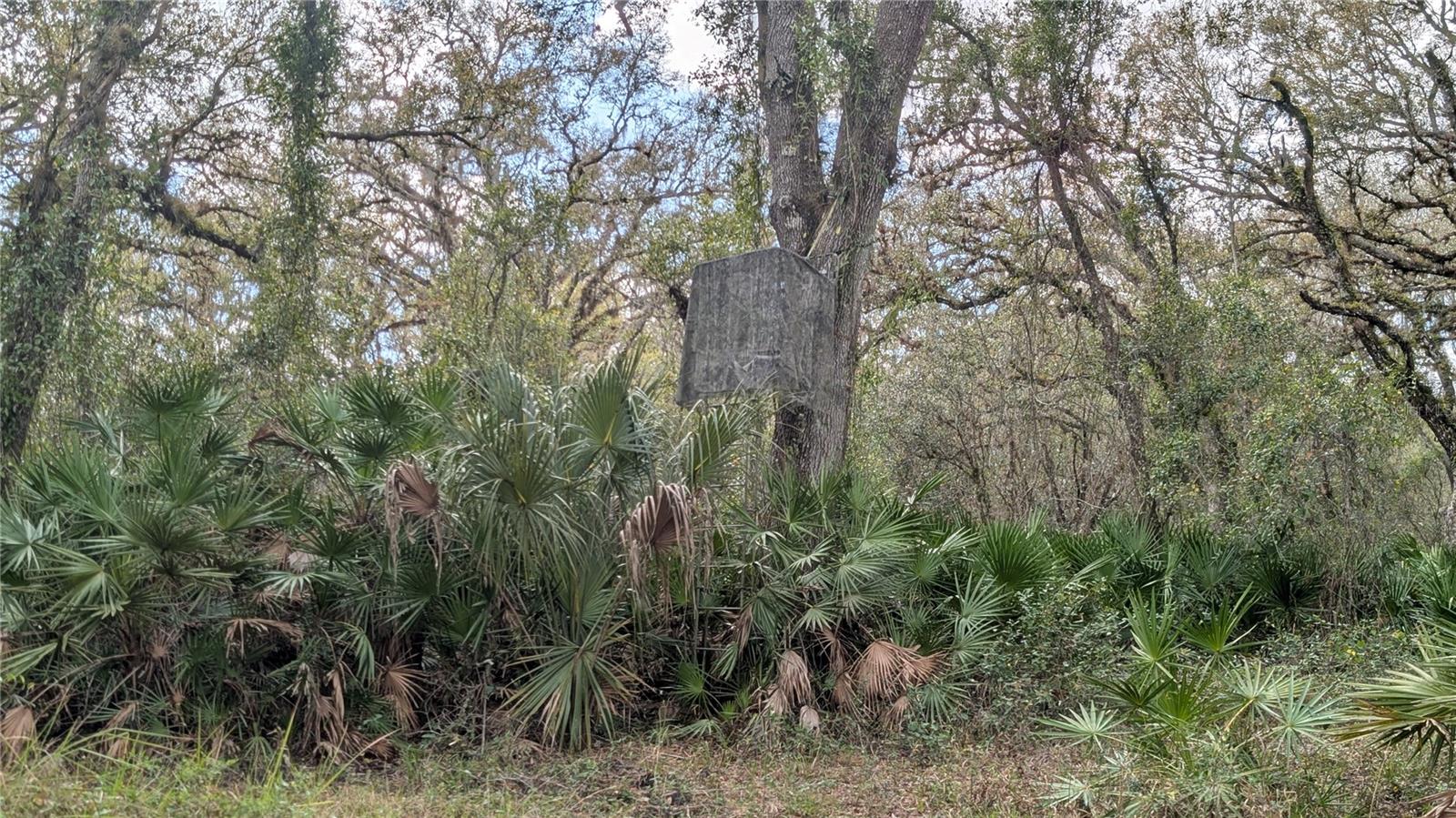 GILLETTE RD, ZOLFO SPRINGS, FL, 33890