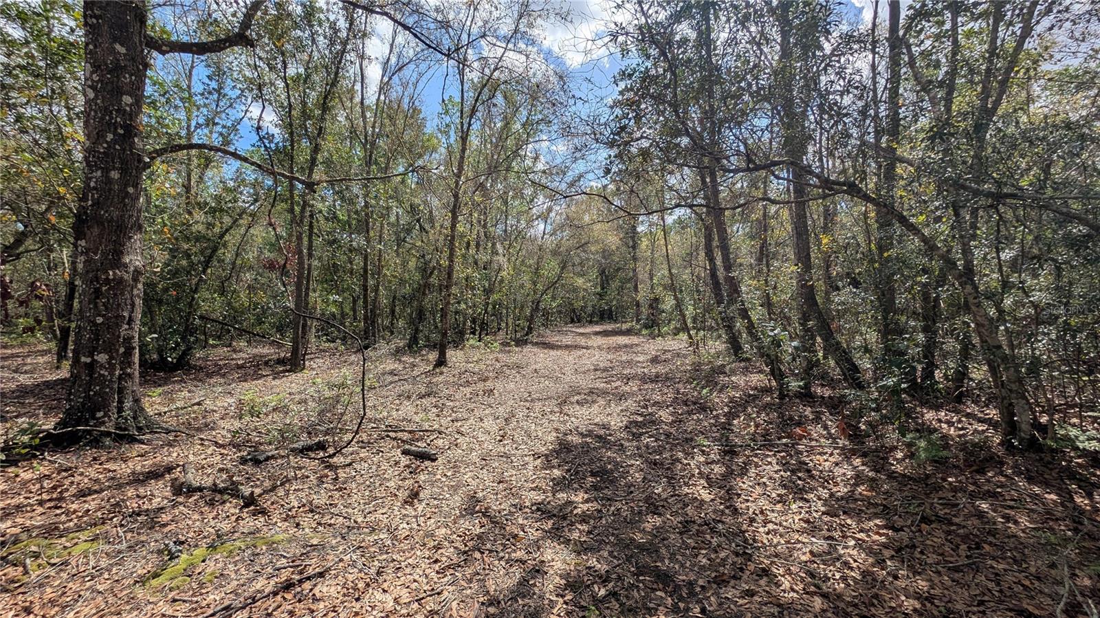 GILLETTE RD, ZOLFO SPRINGS, FL, 33890