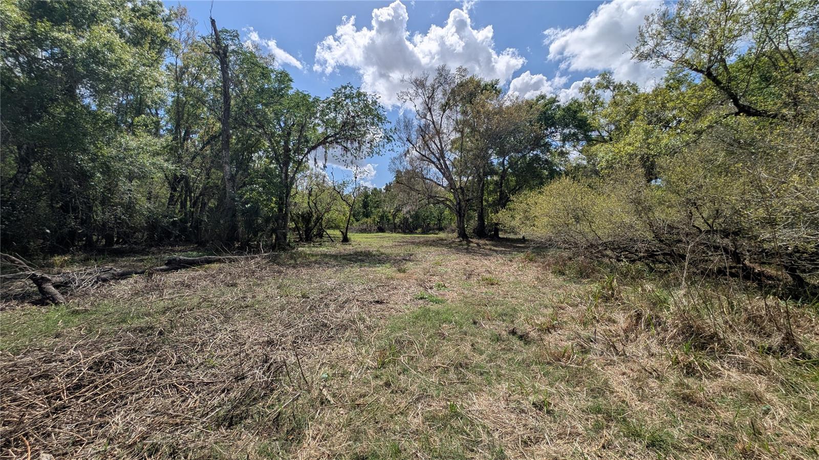 GILLETTE RD, ZOLFO SPRINGS, FL, 33890