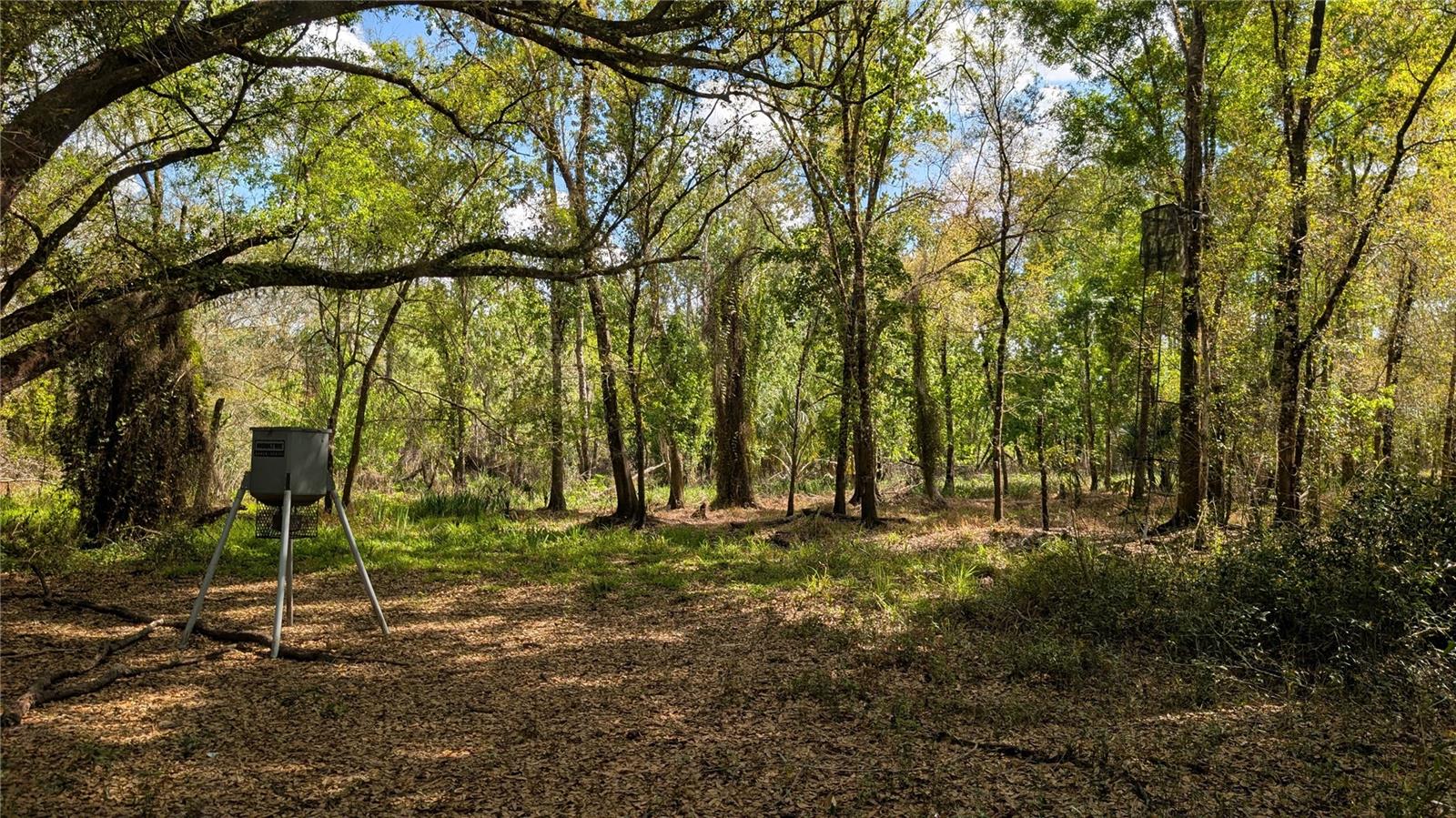 GILLETTE RD, ZOLFO SPRINGS, FL, 33890