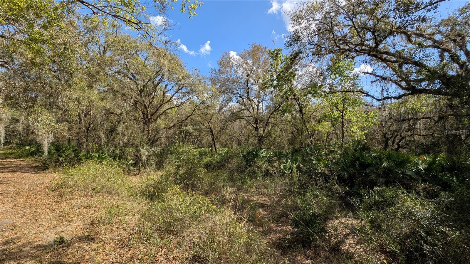 GILLETTE RD, ZOLFO SPRINGS, FL, 33890