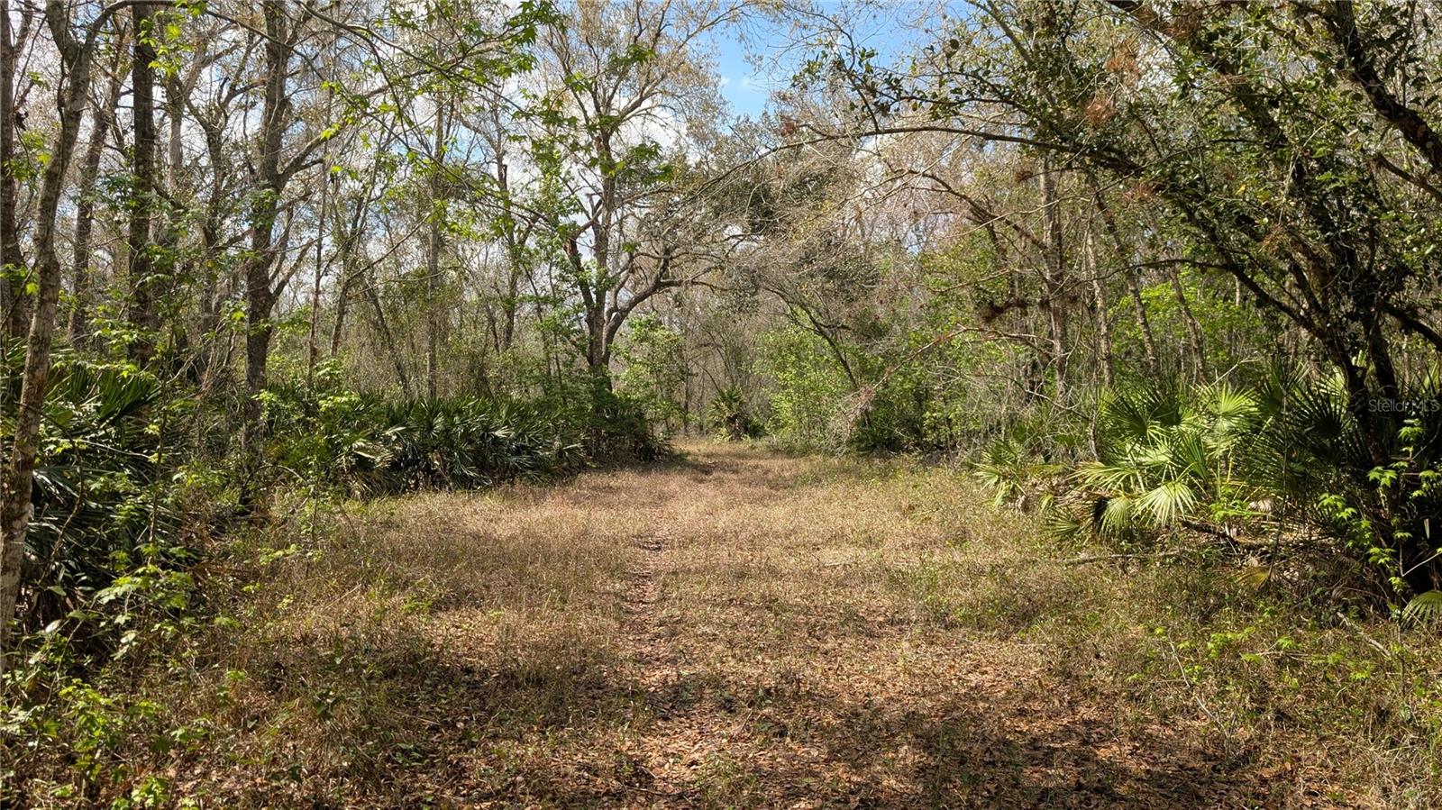 GILLETTE RD, ZOLFO SPRINGS, FL, 33890
