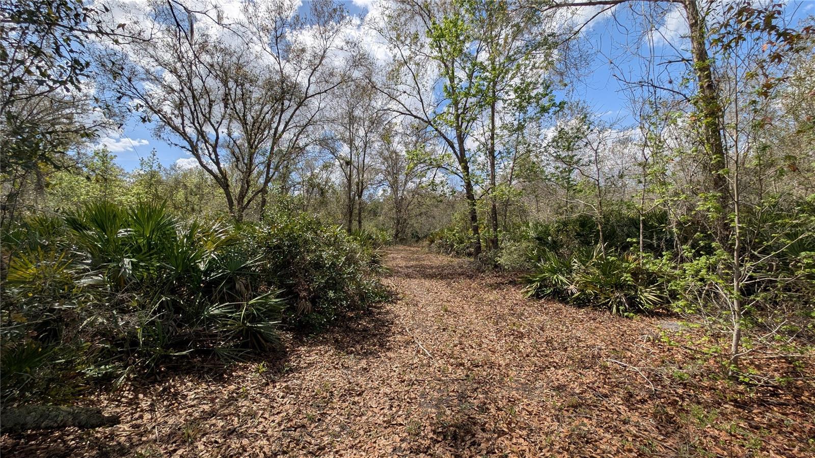 GILLETTE RD, ZOLFO SPRINGS, FL, 33890
